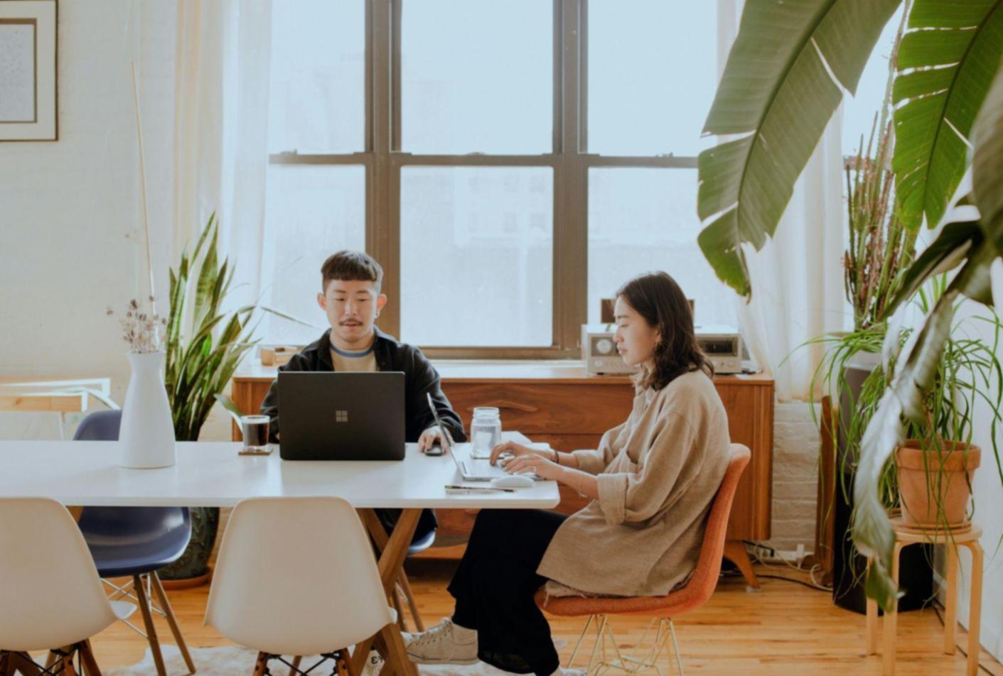 Oficina de pyrenthilora en Palma